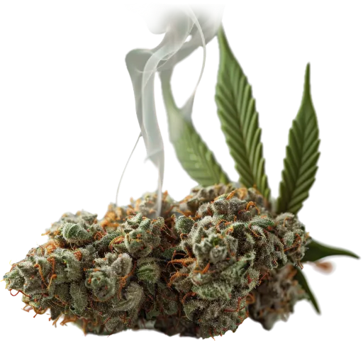 Cannabis knoppen met rook en bladeren.