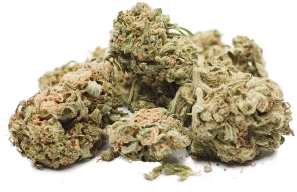 Gedroogde cannabis toppen op zwarte achtergrond.